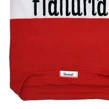 Load image into Gallery viewer, Mars Flandria jersey