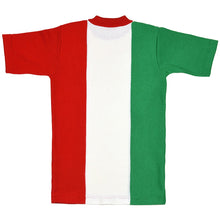 Load image into Gallery viewer, Tricolor jersey 1906