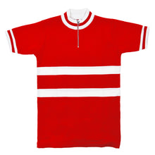 Load image into Gallery viewer, Denmark national team jersey at the World championship