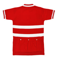 Load image into Gallery viewer, Denmark national team jersey at the World championship