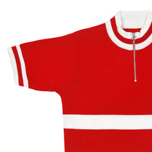 Load image into Gallery viewer, Denmark national team jersey at the World championship
