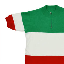 Load image into Gallery viewer, Tricolor jersey
