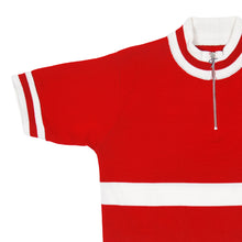 Load image into Gallery viewer, Denmark national team jersey at the World championship
