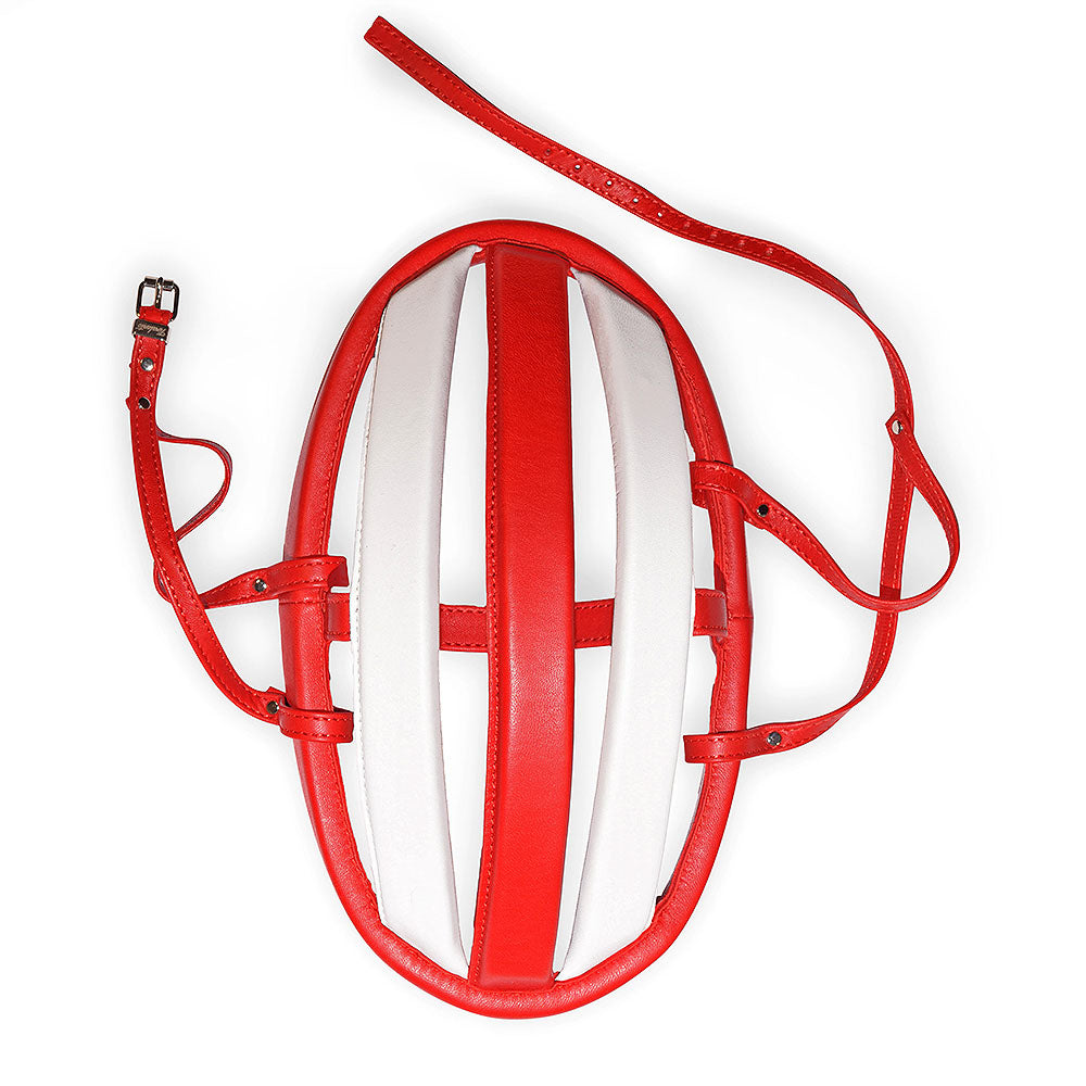 Casco danese Danimarca, Svizzera, Polonia, Austria
